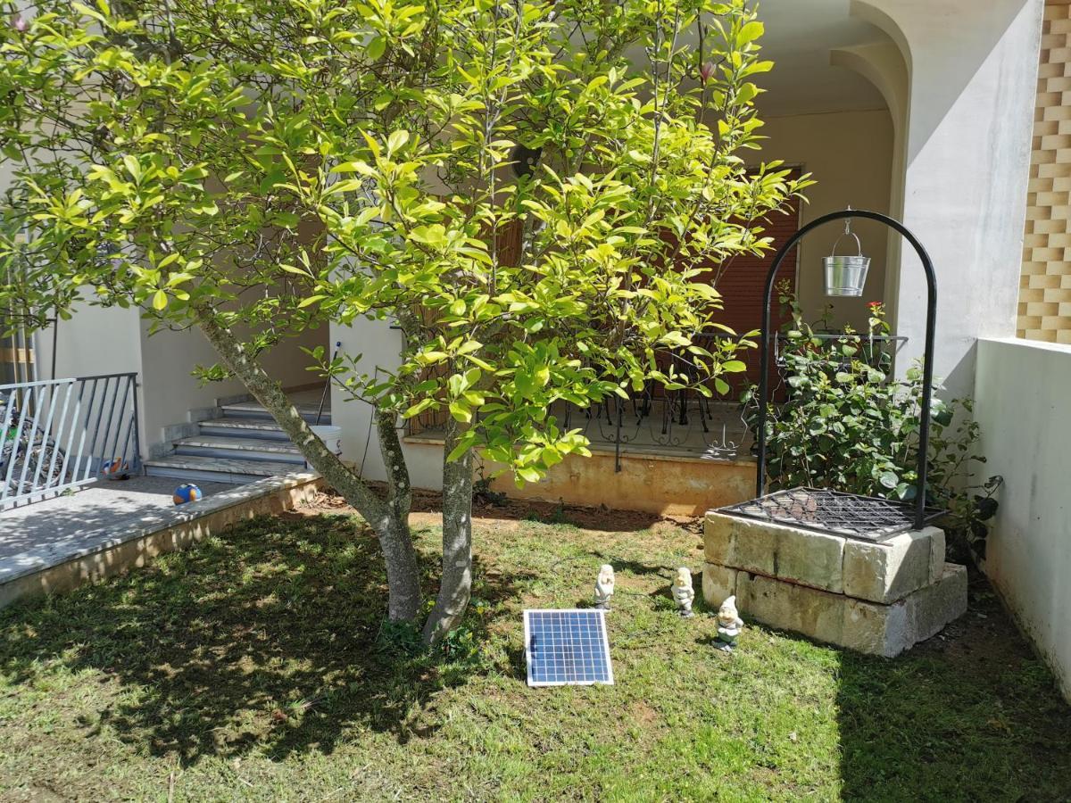 Bed and Breakfast Magnolia Алецио Экстерьер фото